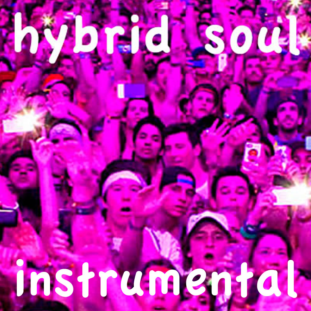Hybrid Soul Instrumental