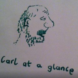 Carl Stipetic - Carl At A Glance