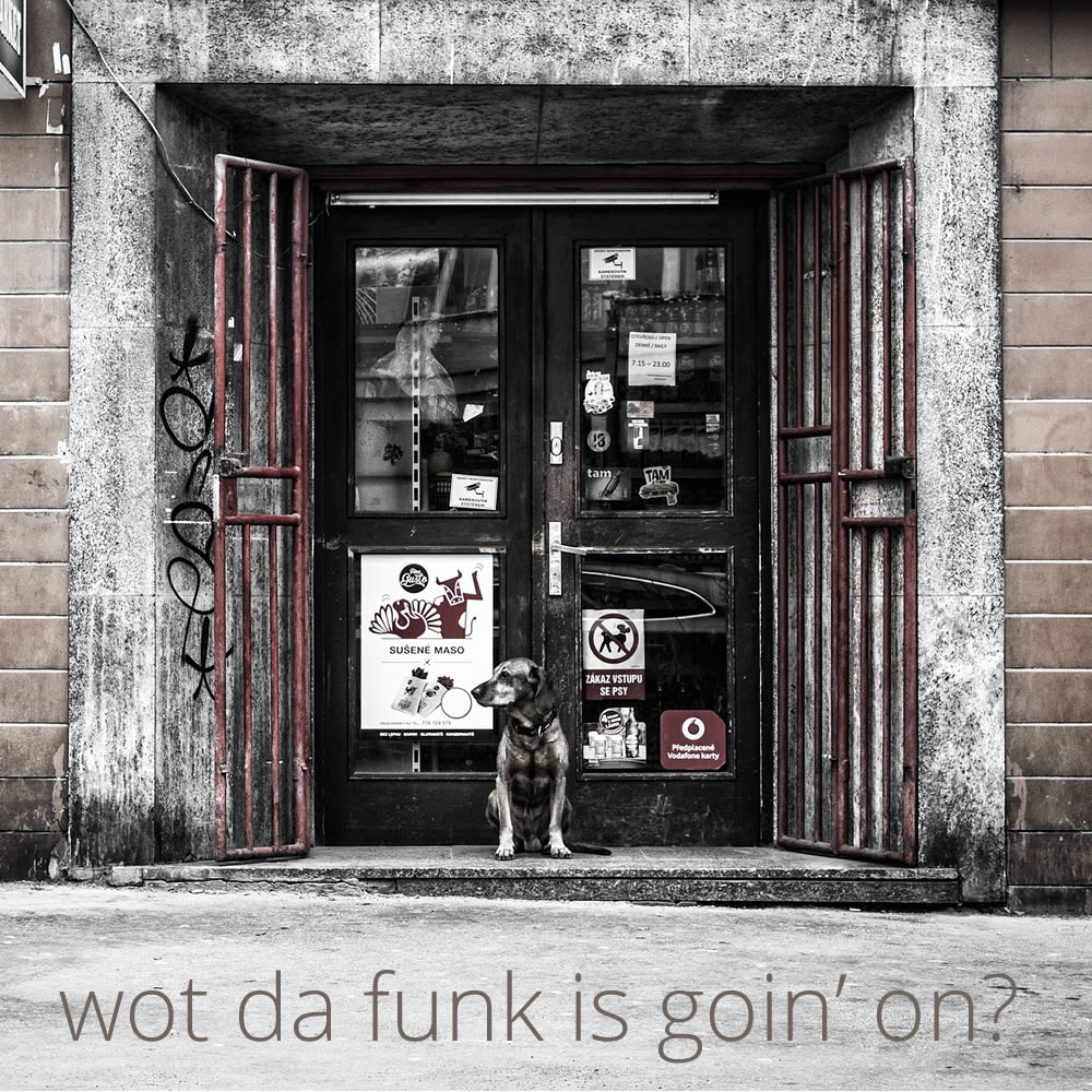 Wot Da Funk Is Goin’ On? | Noego Music